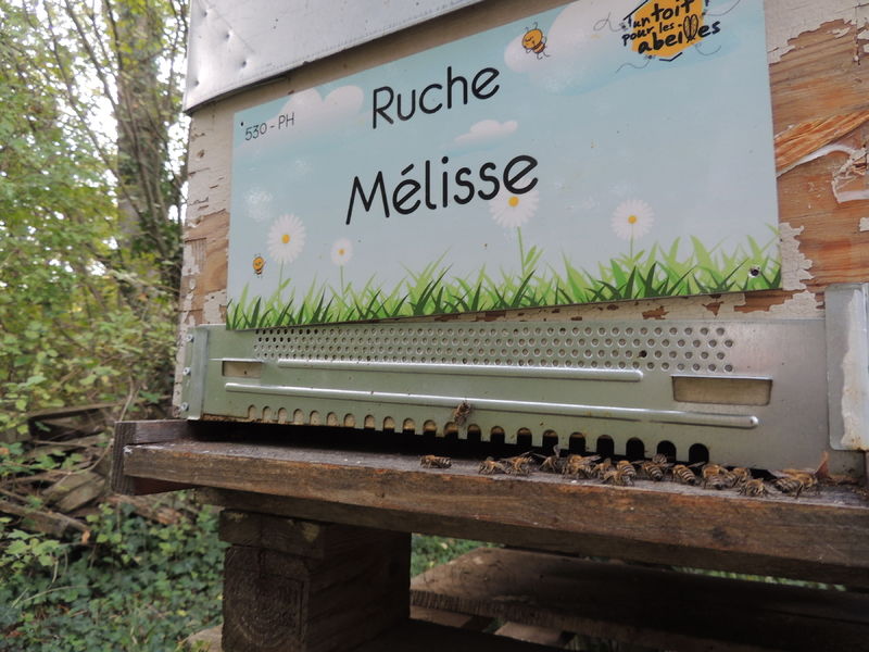 La ruche Mélisse