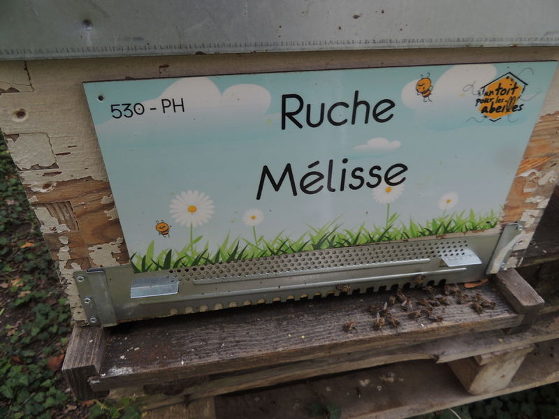 La ruche Mélisse