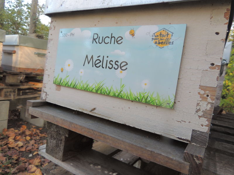La ruche