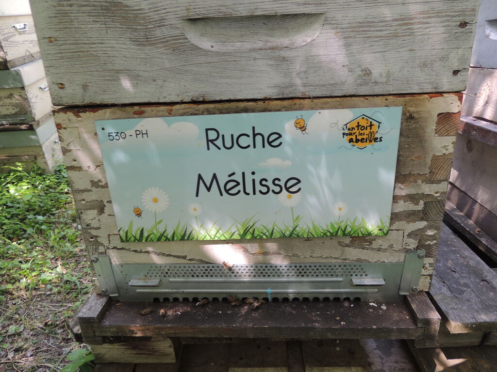 La ruche Mélisse