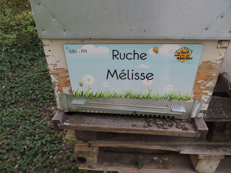 La ruche Mélisse