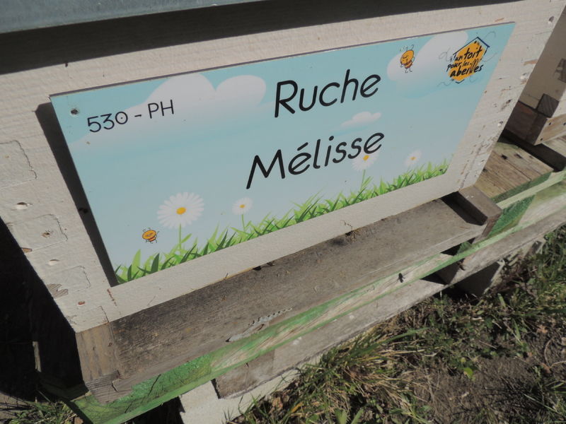 La ruche Mélisse