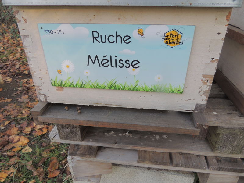 La ruche Mélisse