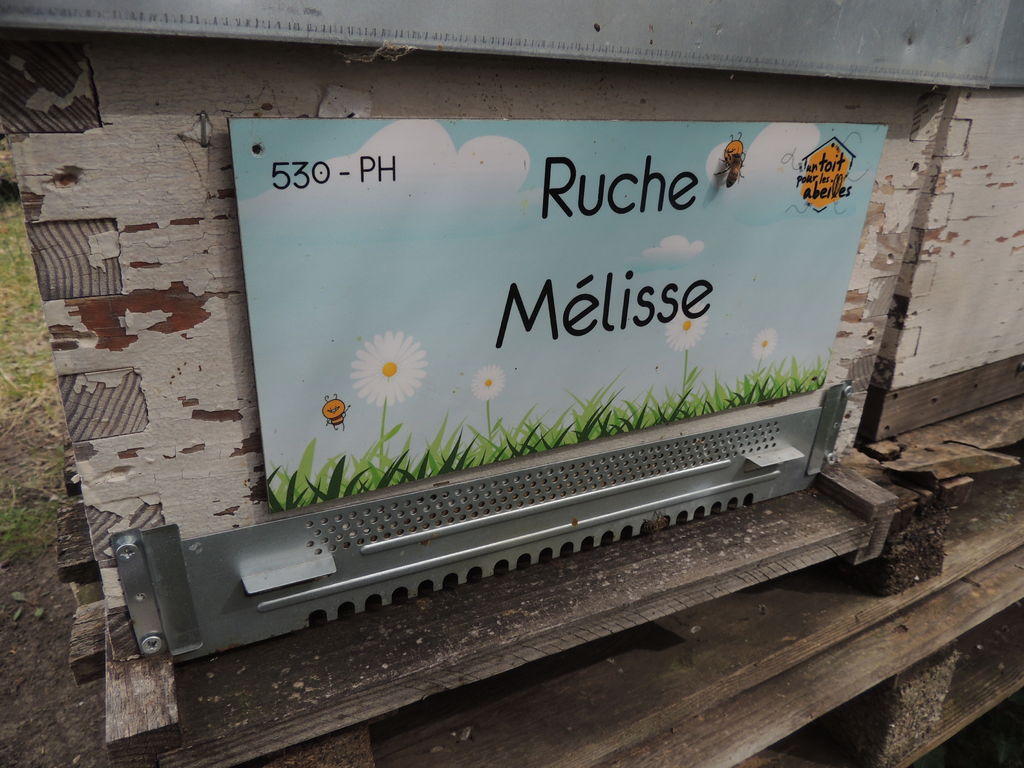 La ruche Mélisse