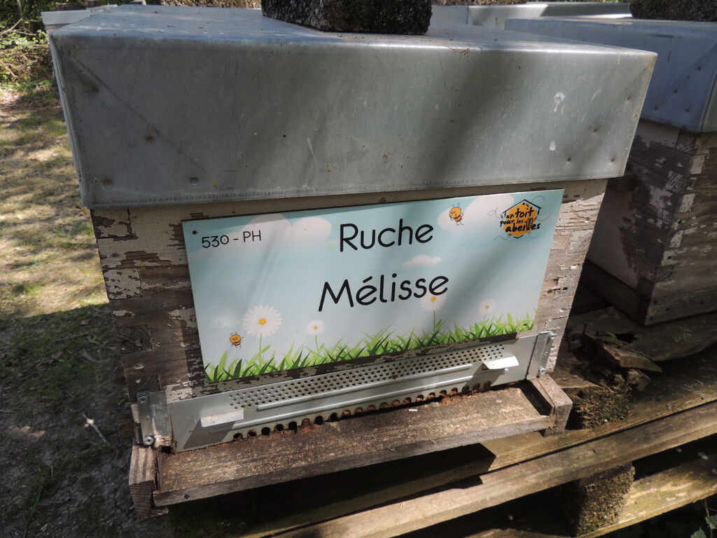 La ruche Mélisse