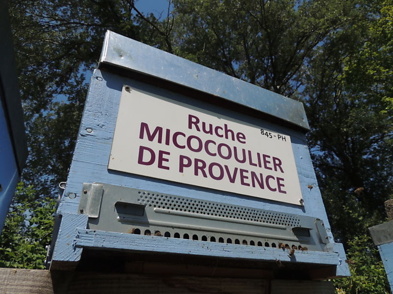 La ruche Micocoulier de provence