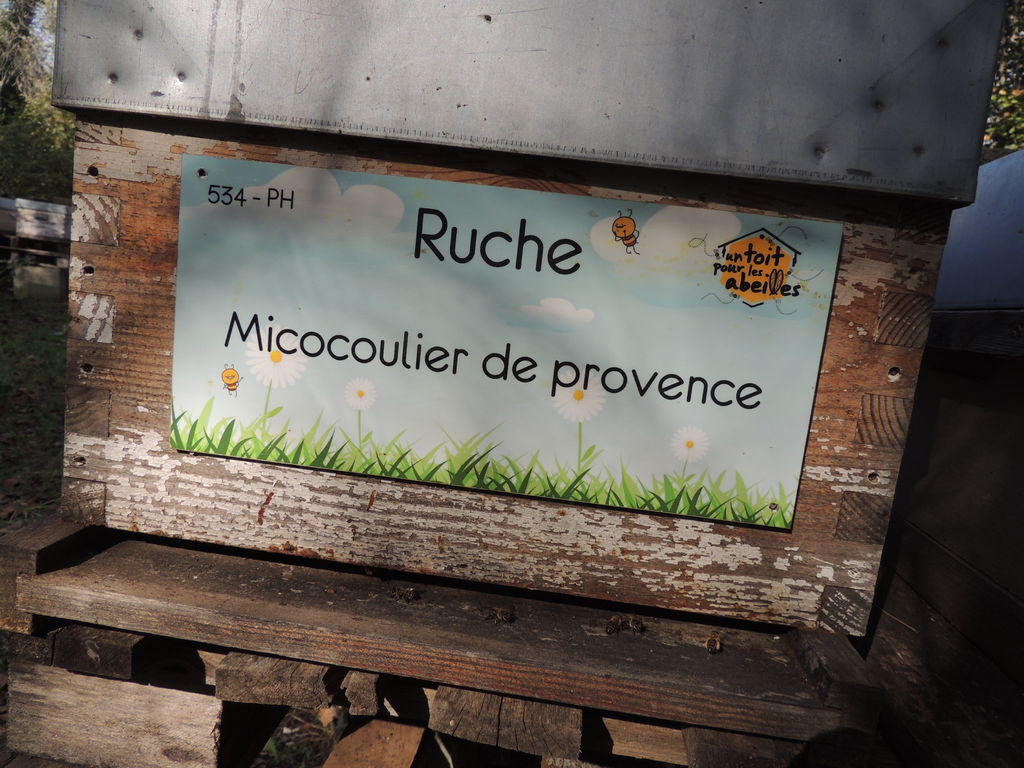 La ruche Micocoulier de provence