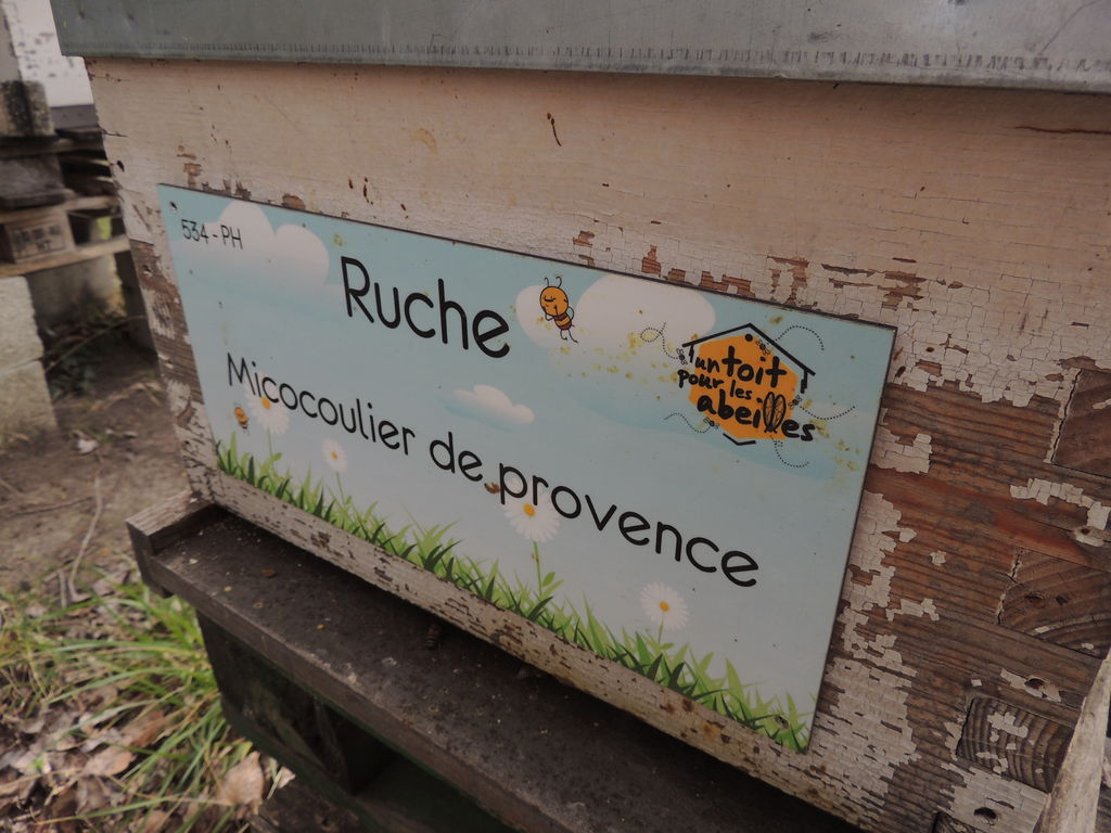 La ruche Micocoulier de provence