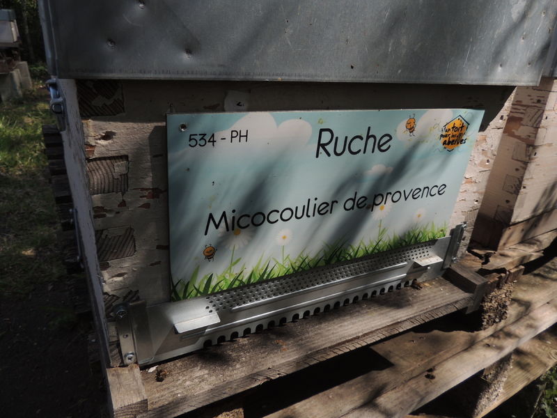 La ruche Micocoulier de provence