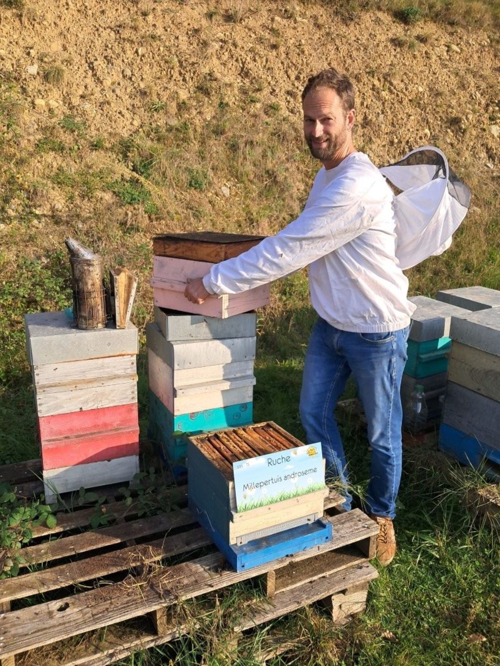 La ruche Millepertuis androseme