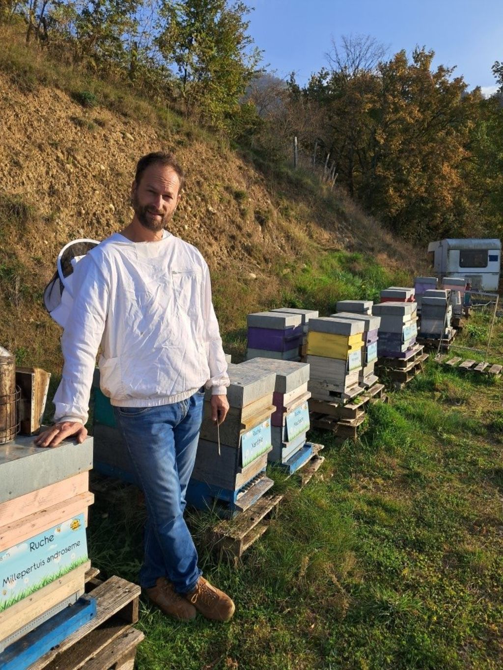 La ruche Millepertuis androseme