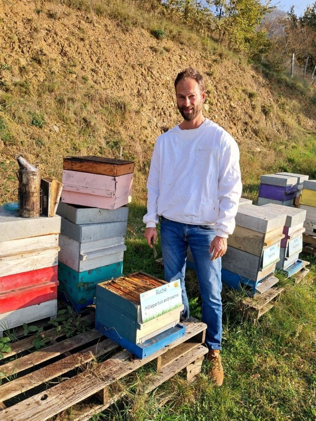 La ruche Millepertuis androseme