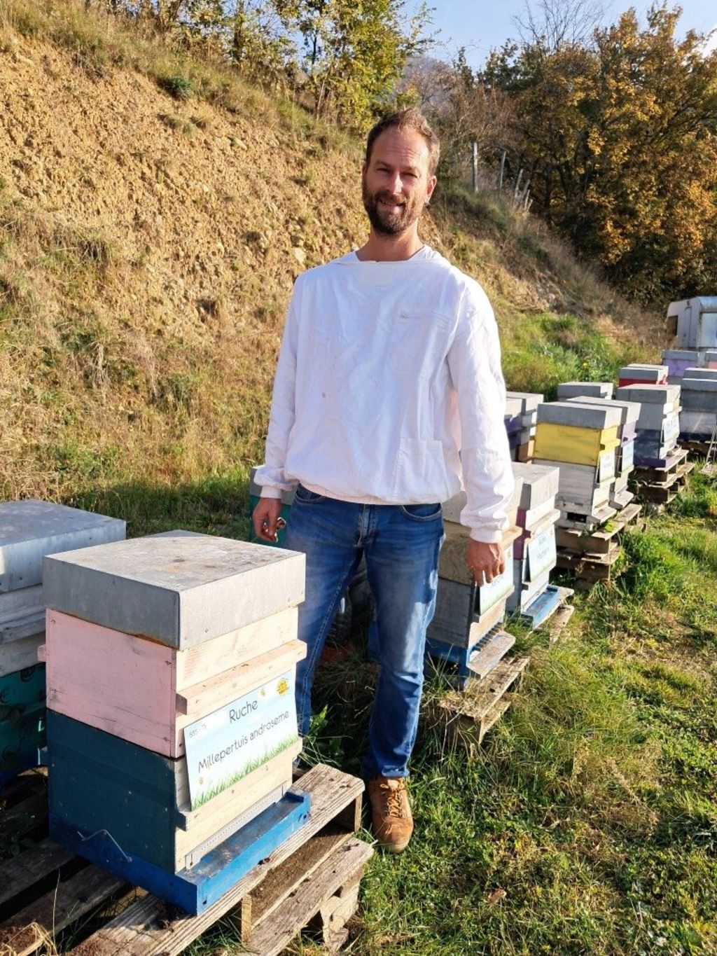 La ruche Millepertuis androseme