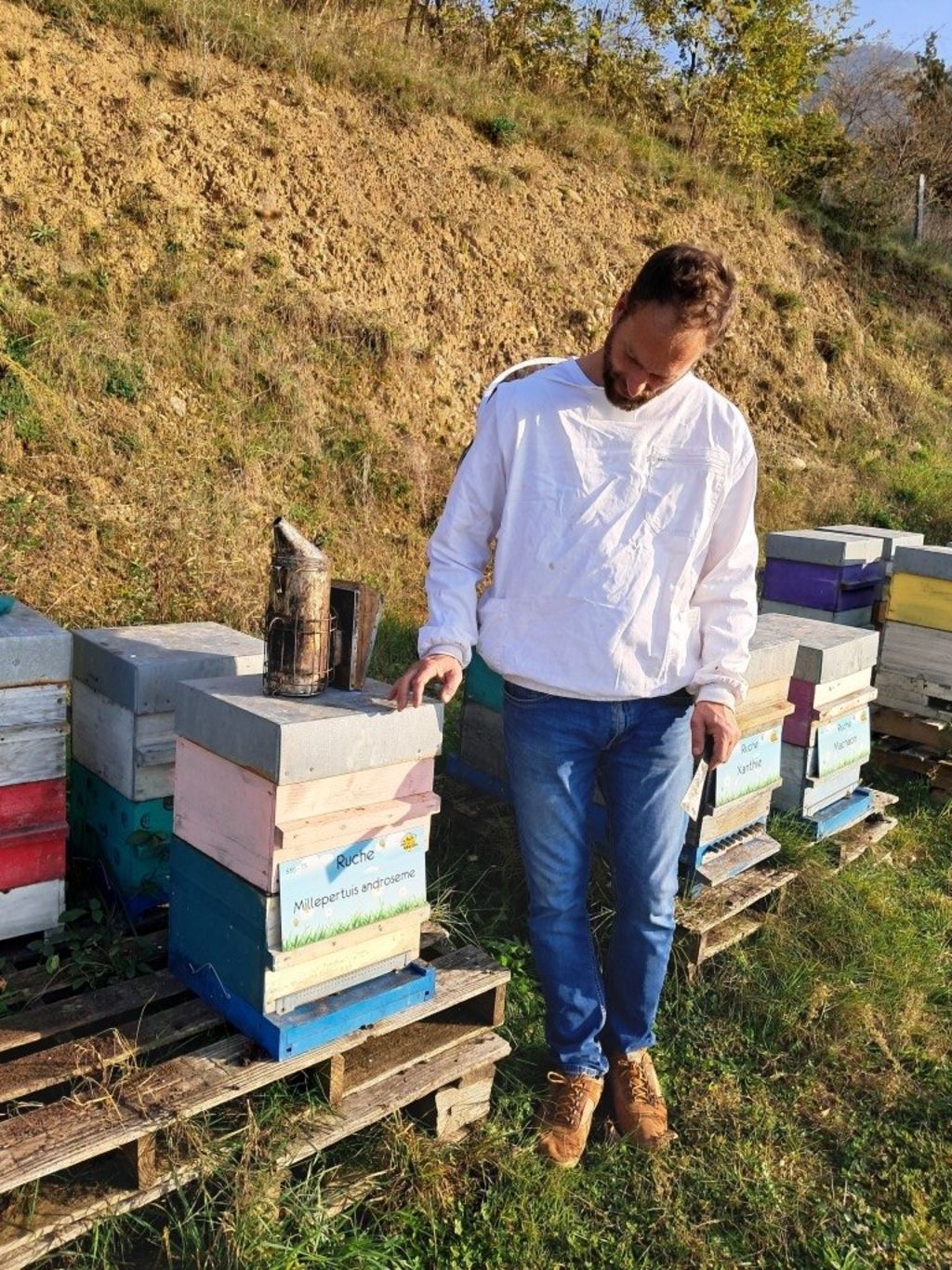 La ruche Millepertuis androseme