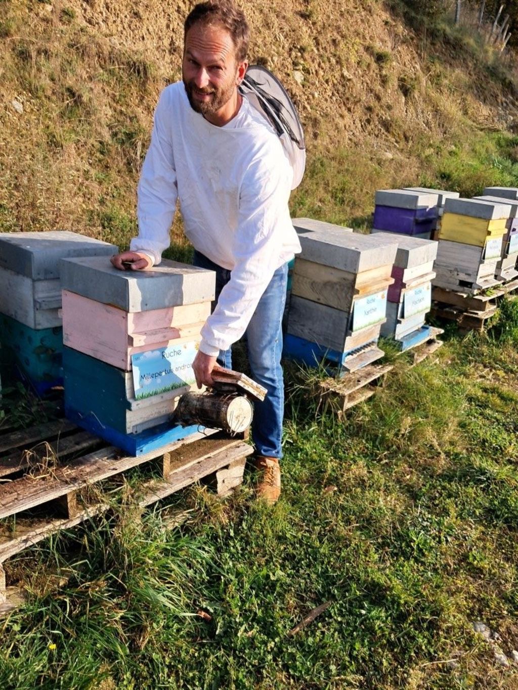 La ruche Millepertuis androseme