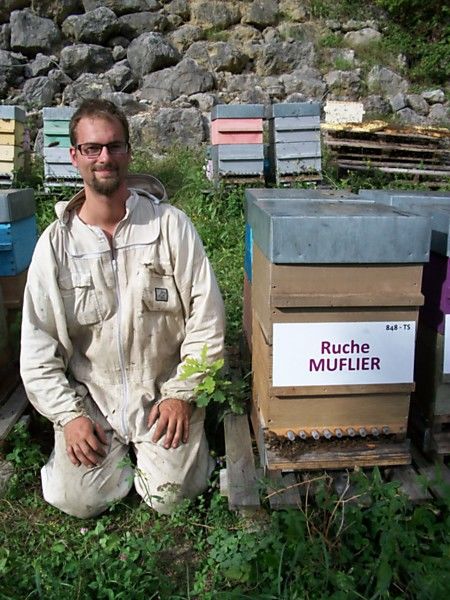 La ruche Muflier