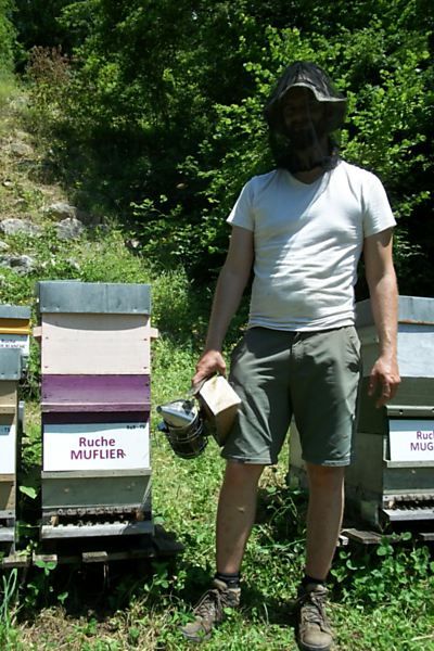 La ruche Muflier