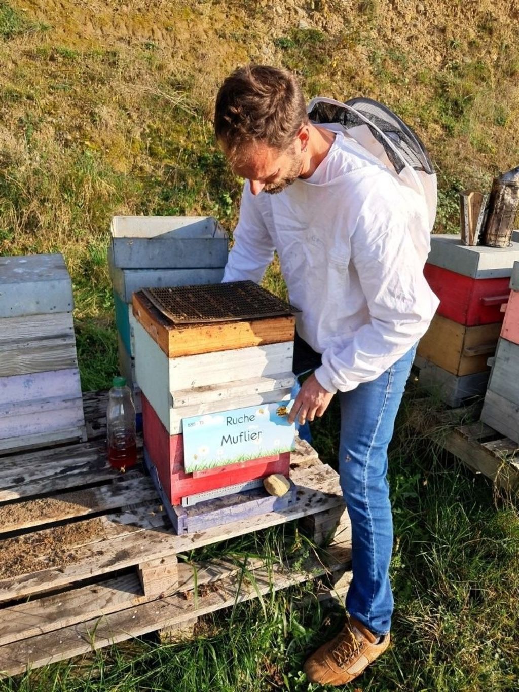 La ruche Muflier