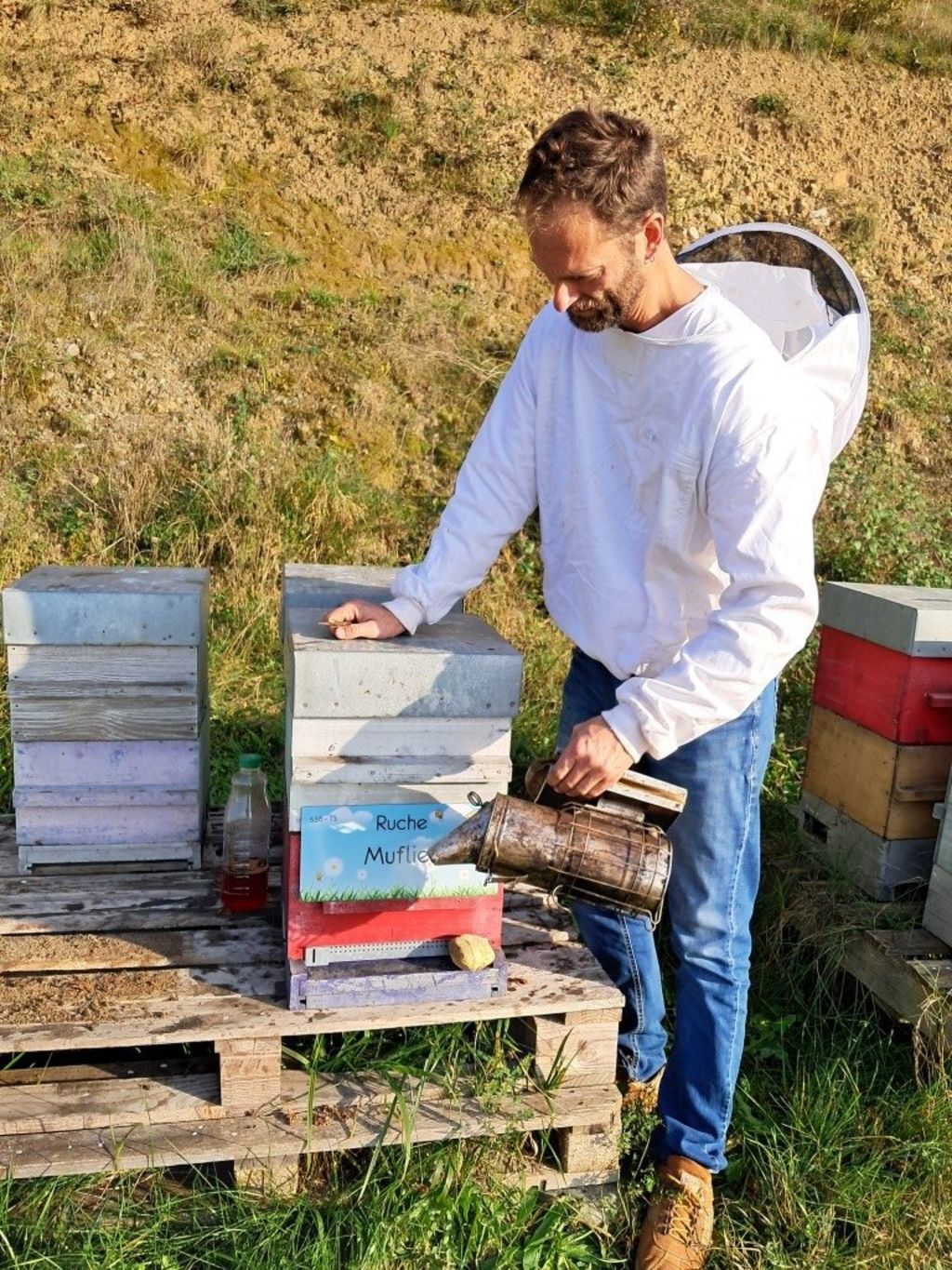 La ruche Muflier