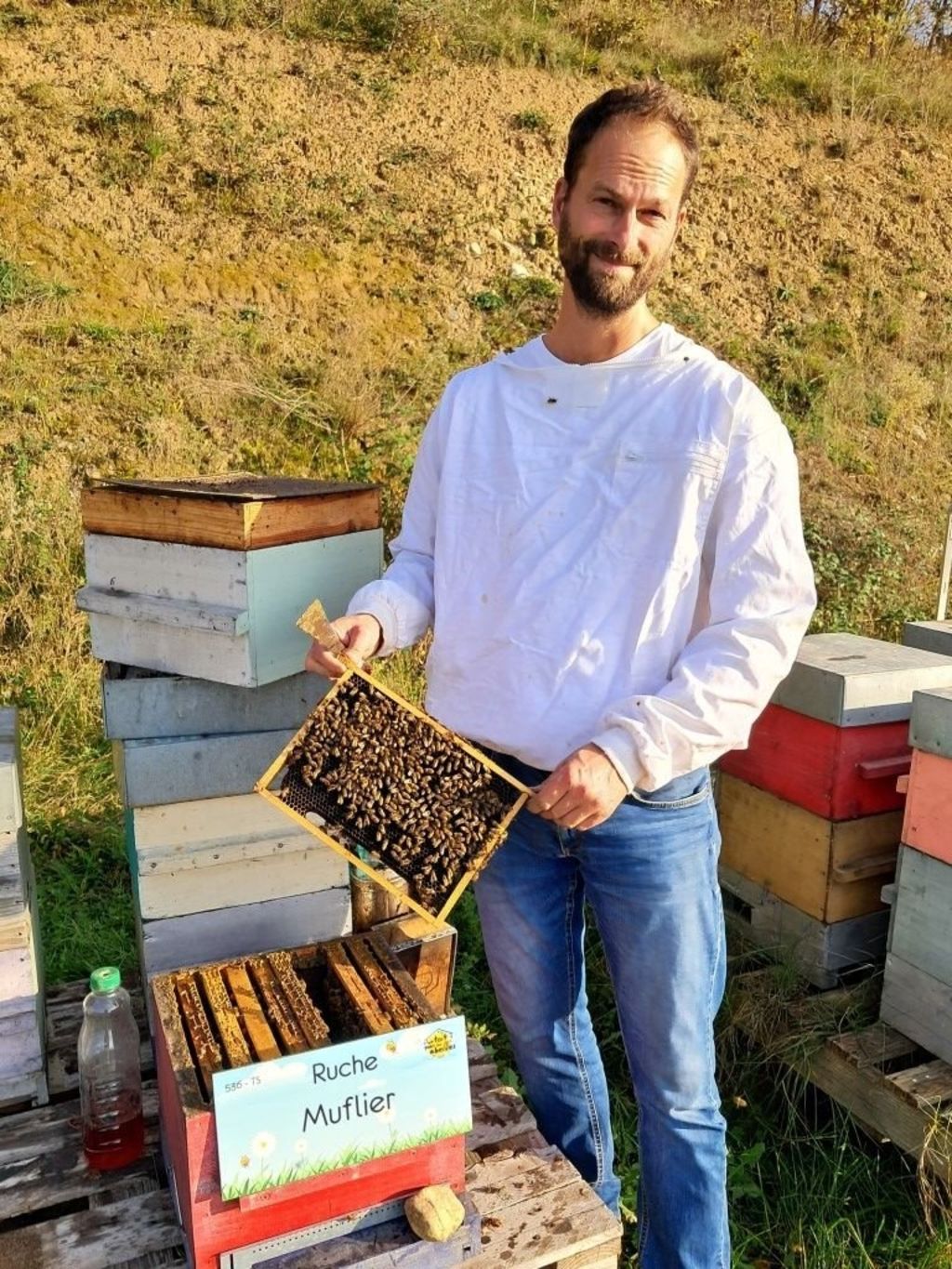 La ruche Muflier
