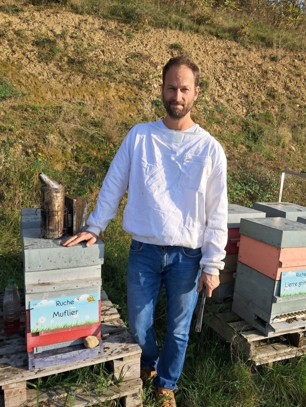La ruche Muflier
