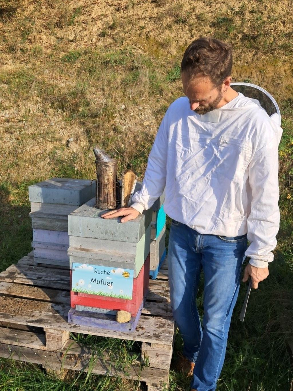 La ruche Muflier