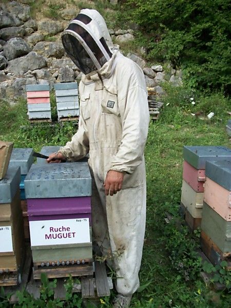 La ruche Muguet