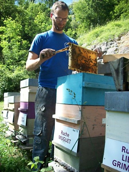 La ruche Muguet