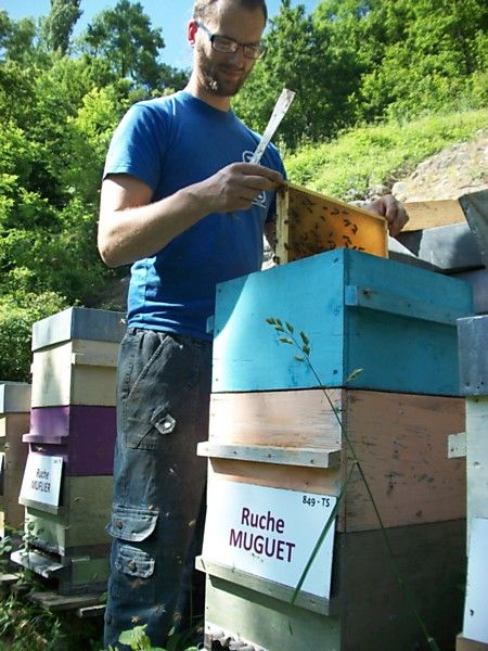 La ruche Muguet
