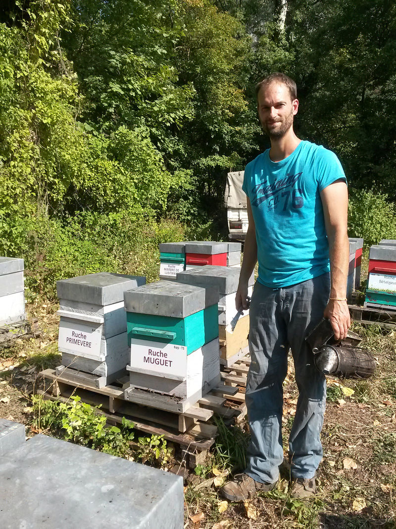 La ruche Muguet