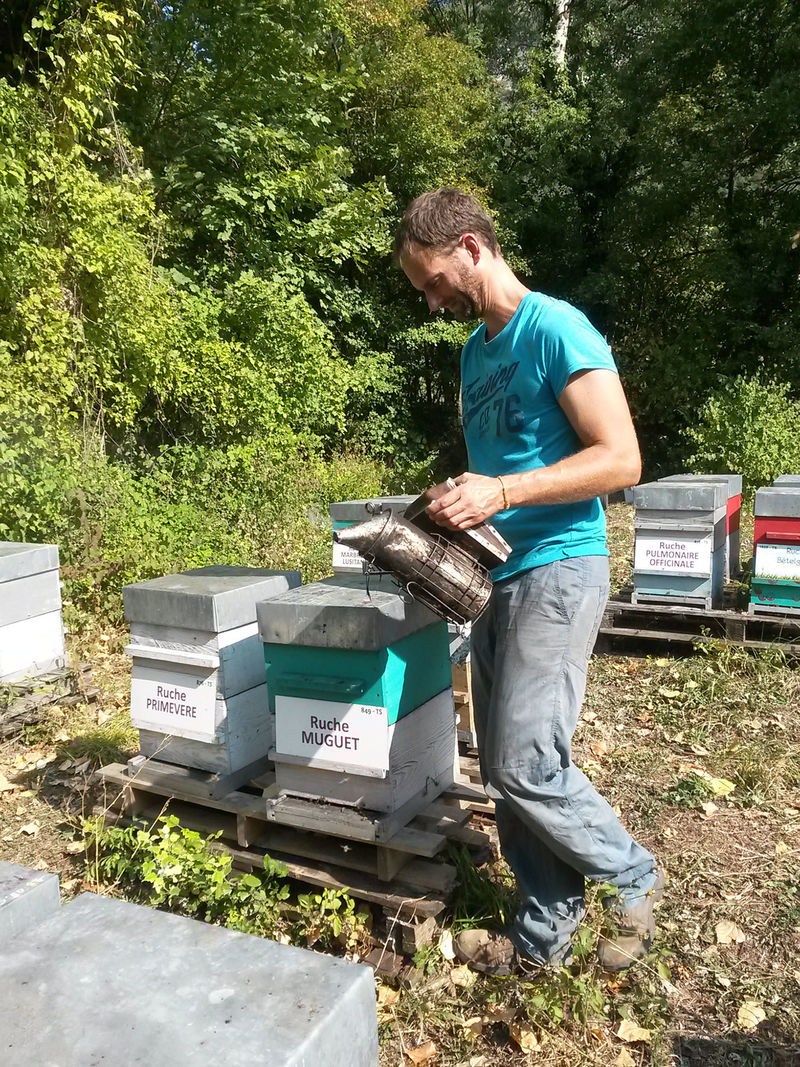 La ruche Muguet