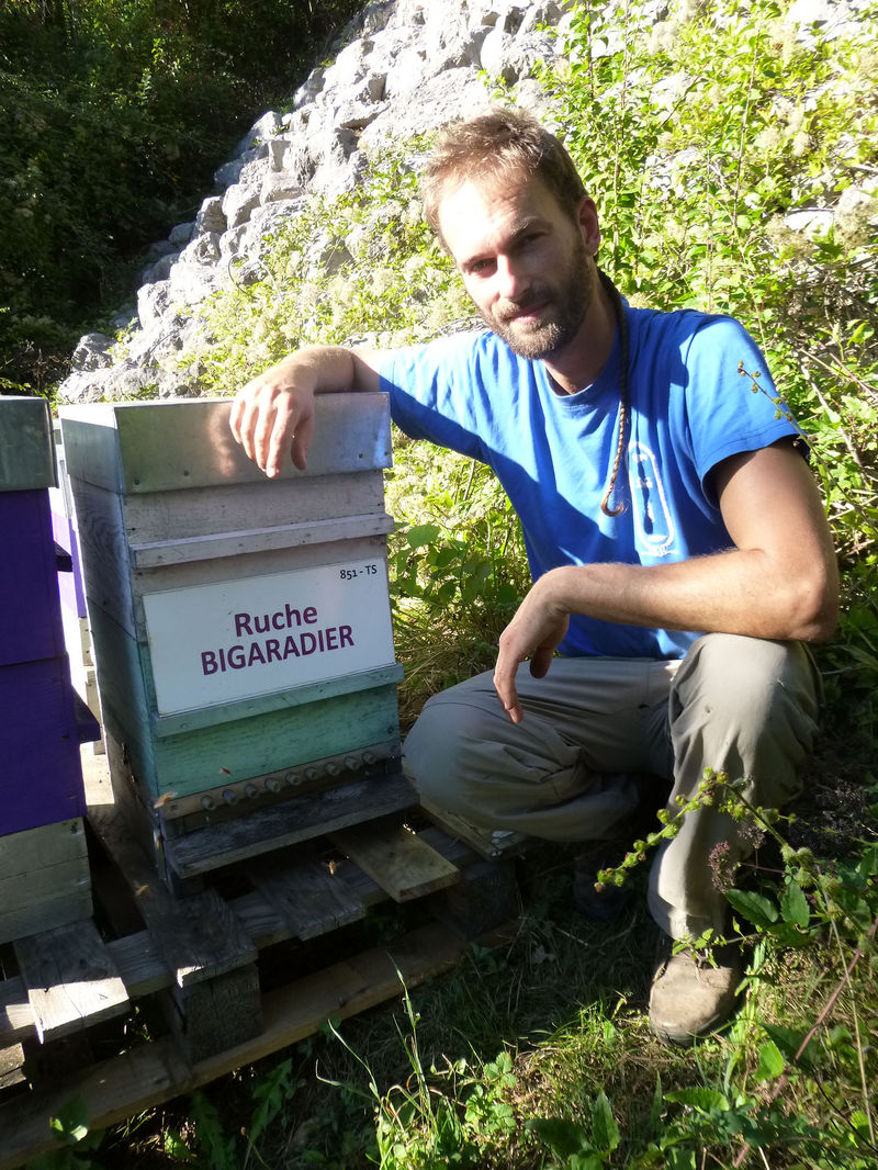 La ruche Bigaradier