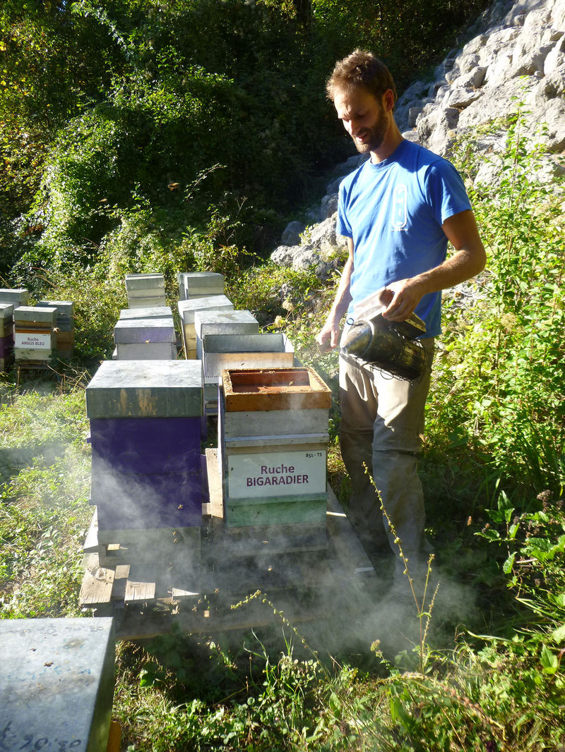 La ruche Bigaradier