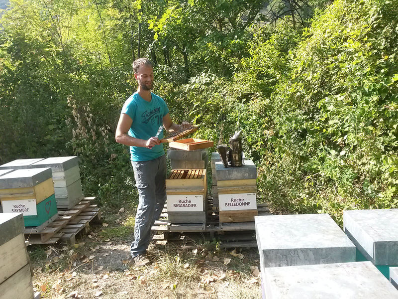 La ruche Bigaradier