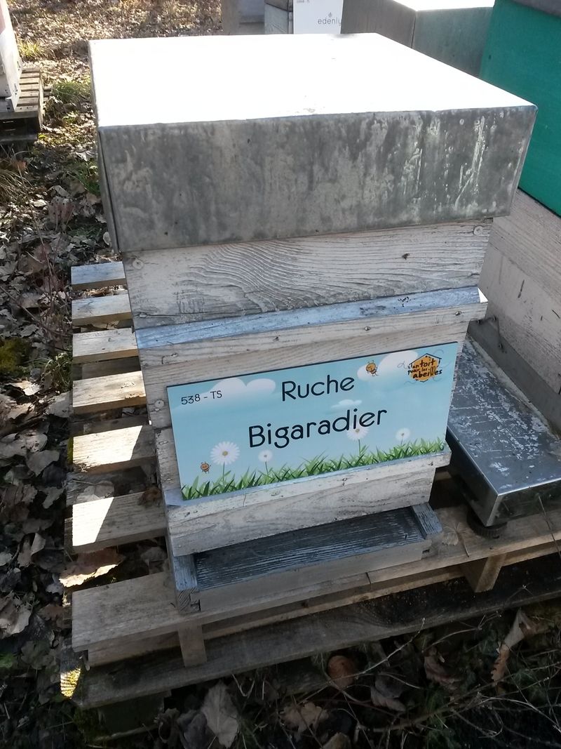 La ruche Bigaradier