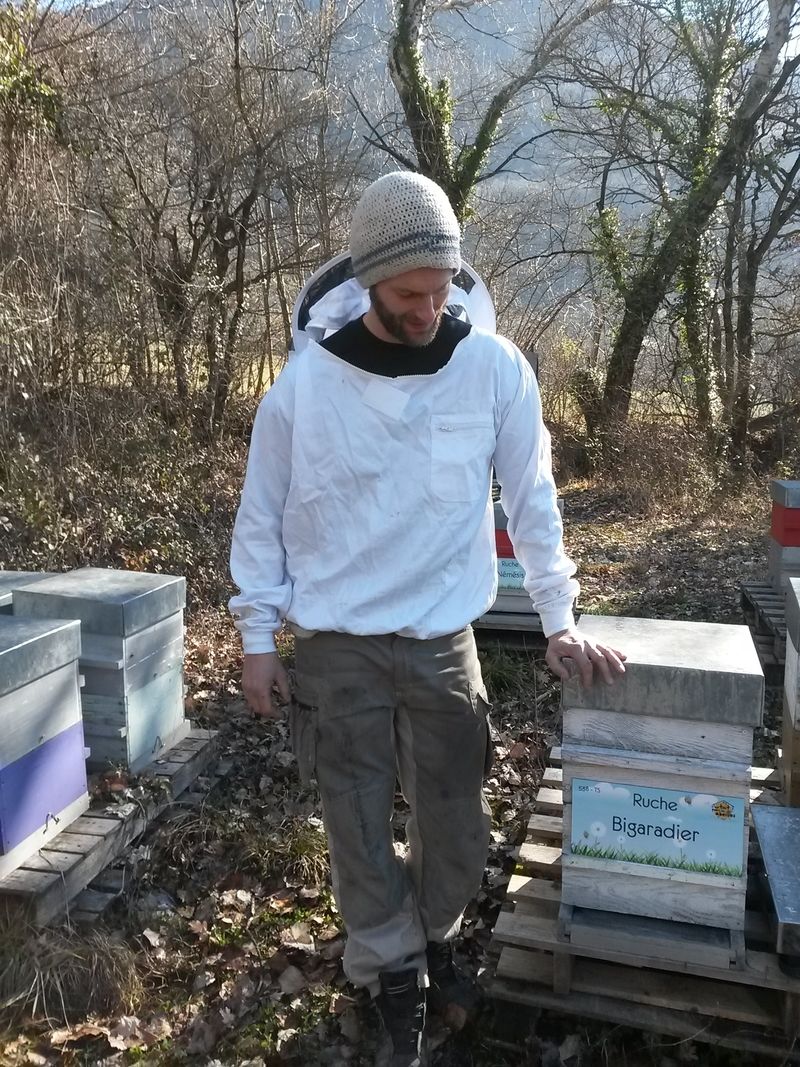 La ruche Bigaradier
