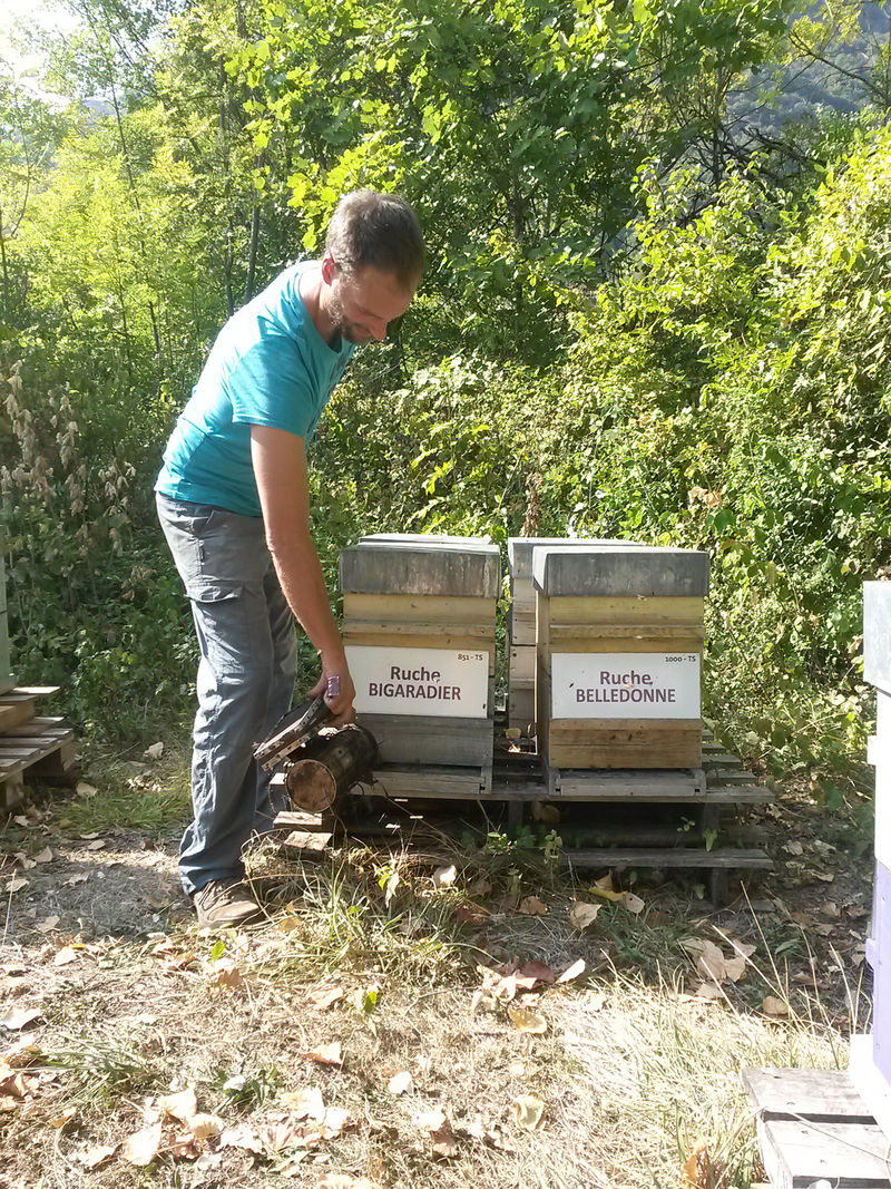 La ruche Bigaradier