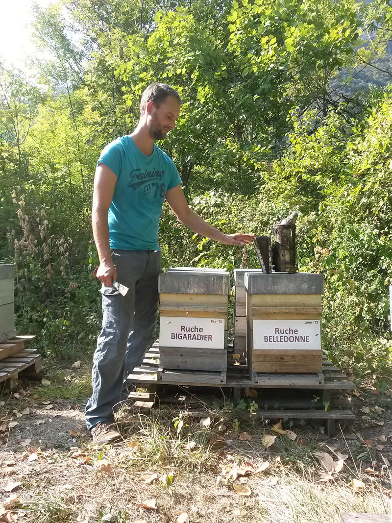 La ruche Bigaradier
