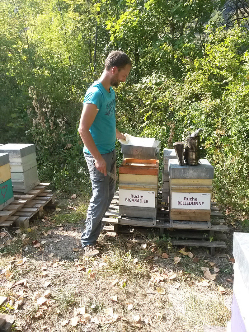 La ruche Bigaradier
