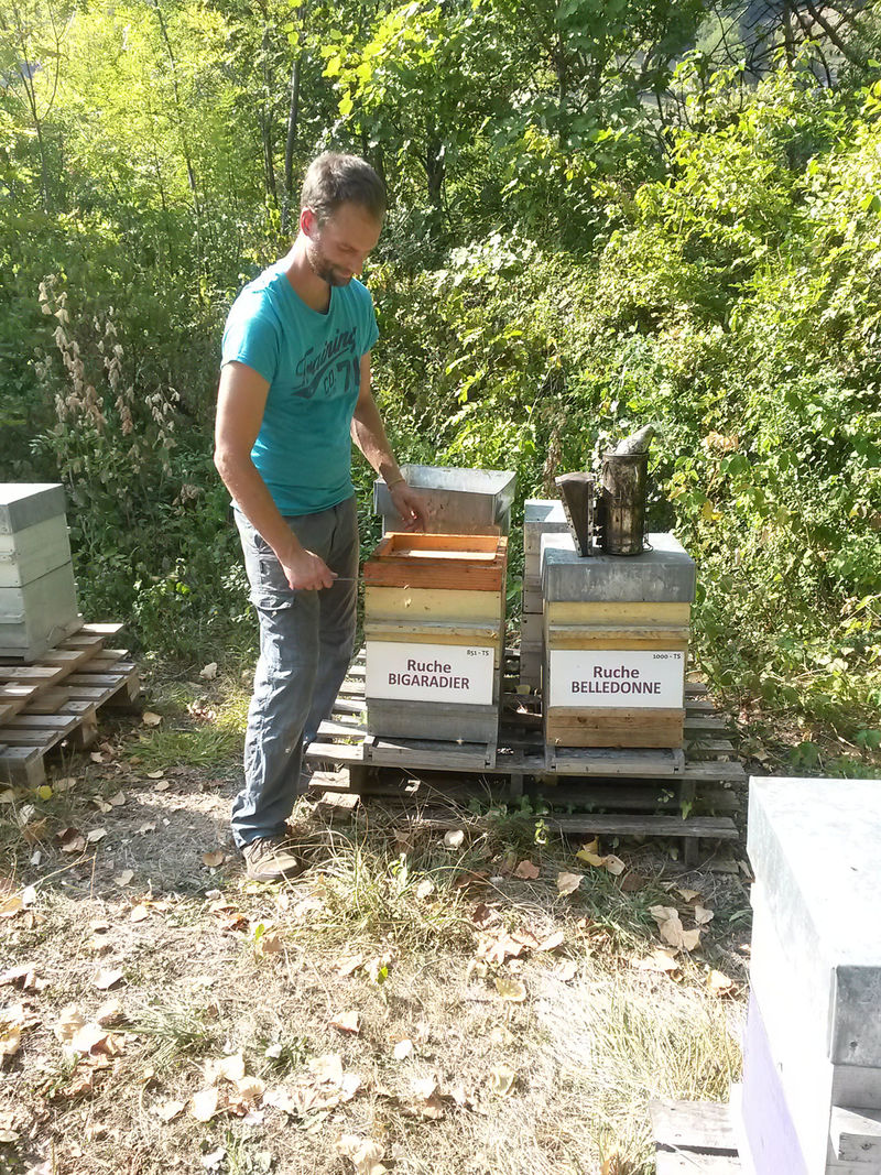 La ruche Bigaradier