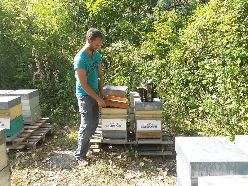 La ruche Bigaradier