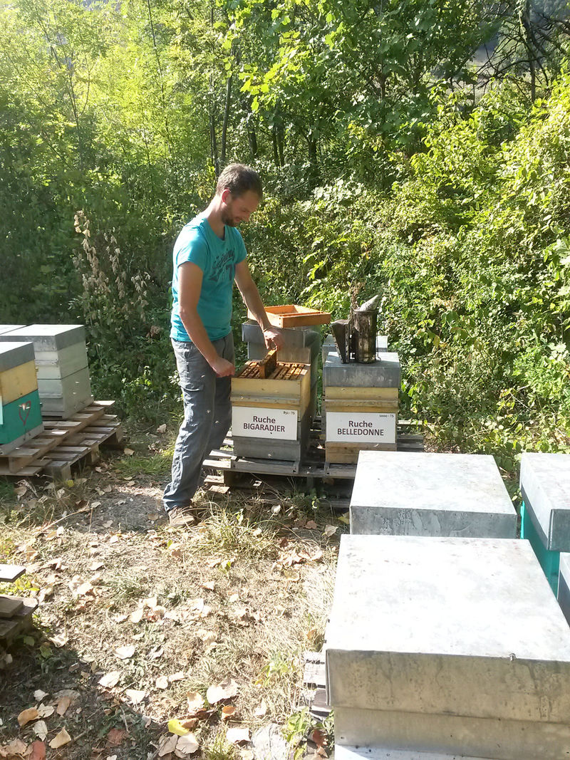 La ruche Bigaradier