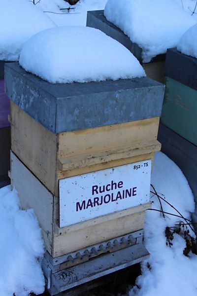 La ruche
