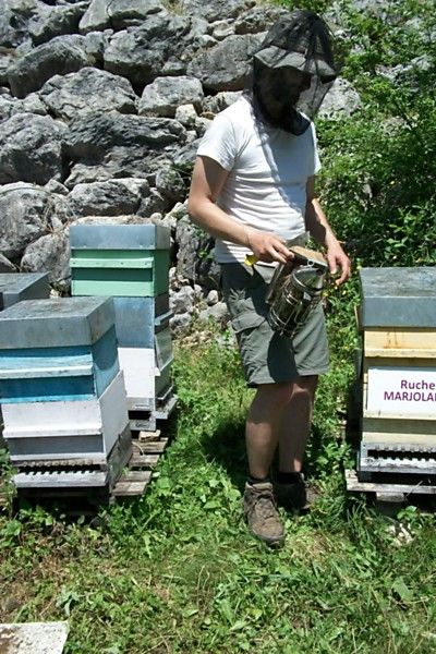 La ruche Marjolaine