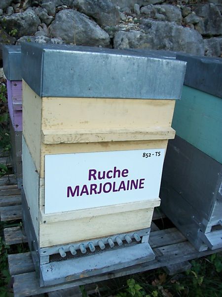 La ruche Marjolaine