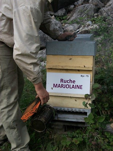 La ruche Marjolaine