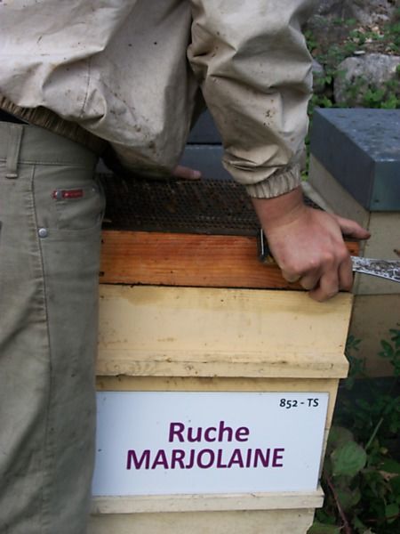 La ruche Marjolaine
