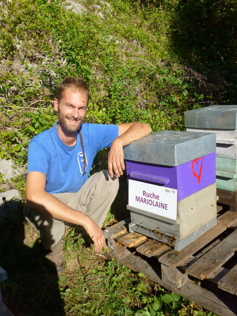 La ruche Marjolaine