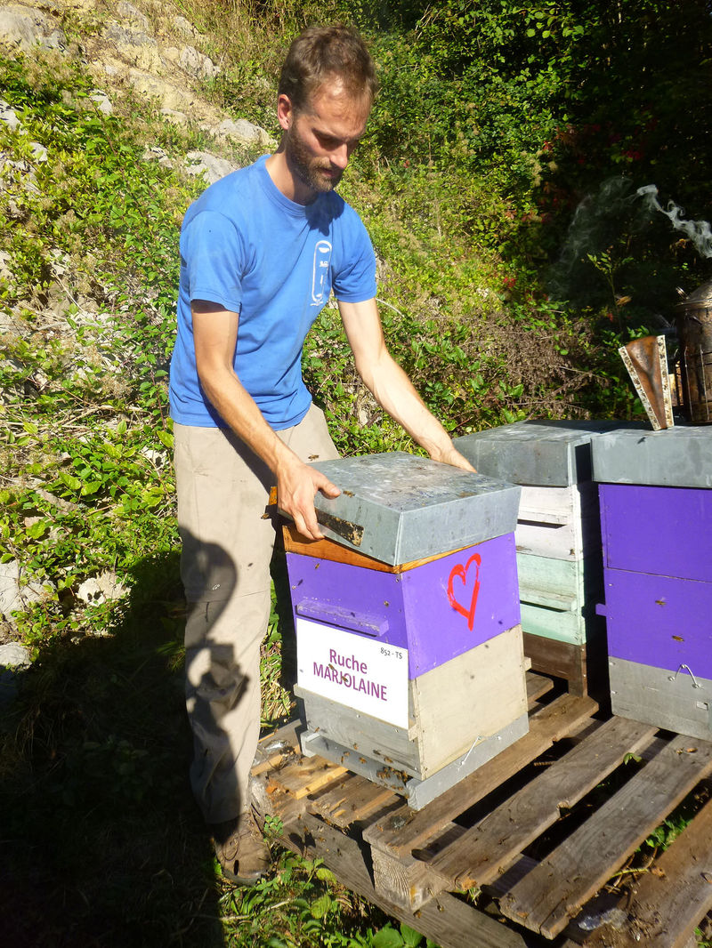 La ruche Marjolaine