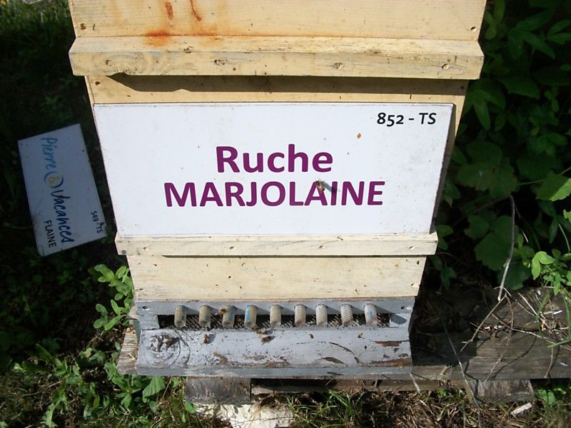 La ruche Marjolaine